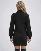 Monaco Sweater Dress by Lauven, women’s black turtleneck sweater dress, back view, ribbed knit design.