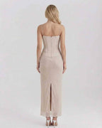 Aurelia Maxi Dress - Beige mesh dress with lace detail, slim fit silhouette, and soft draped neckline.