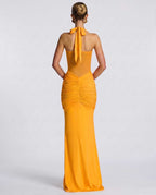 Solvane Maxi Dress by Lauven — stretch mesh sleeveless halter neck slim fit maxi dress